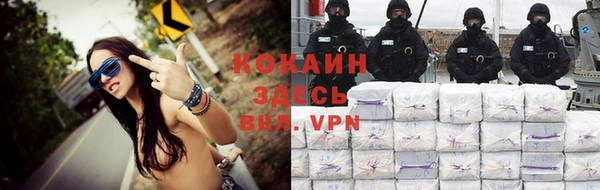 дживик Осинники