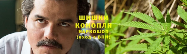 дживик Осинники