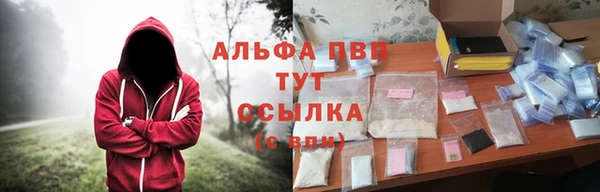 дживик Осинники