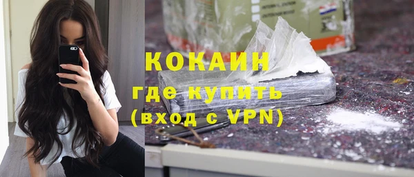 дживик Осинники