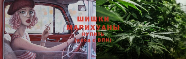 дживик Осинники